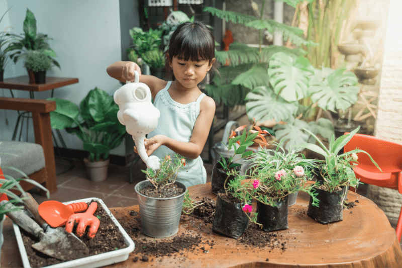 Sibling rivalry - outdoor activity ideas