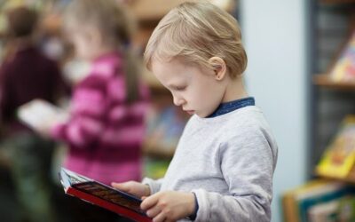 Popular books to get your primary schooler reading