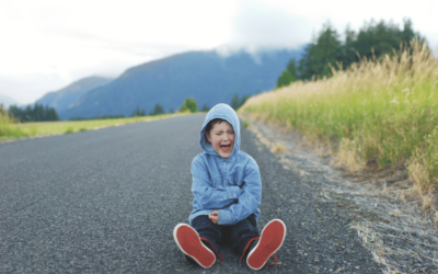 How to Support a Child Who is Having a Meltdown but Doesn’t Want Help