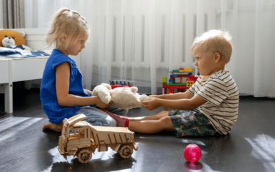Sibling Rivalry Solutions: Practical Ideas from Child Psychologists  