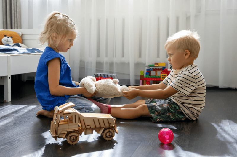 Sibling rivalry is a common problem in many families